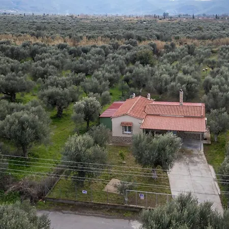 Holiday home Olive Grove Getaway Oikhalia (Messinia)