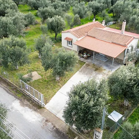 Olive Grove Getaway Holiday home