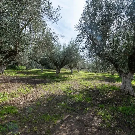Olive Grove Getaway * Oikhalia (Messinia)