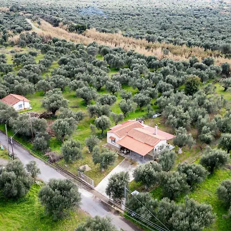 Olive Grove Getaway Holiday home Oikhalia (Messinia)